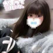 ヒメ日記 2025/09/23 13:52 投稿 みみ 東京リップ 渋谷店