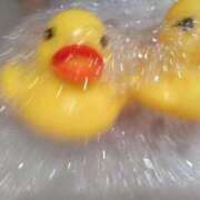 ヒメ日記 2025/09/05 14:00 投稿 こまめ 丸妻 横浜本店