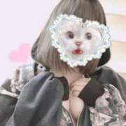 ヒメ日記 2025/09/10 10:00 投稿 こまめ 丸妻 横浜本店