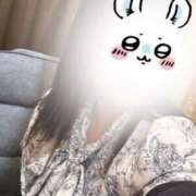 こまめ まだあるよ 丸妻 横浜本店