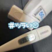 こまめ インフルエンザ 丸妻 横浜本店