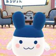 ヒメ日記 2026/01/21 22:54 投稿 いな 上野　御徒町オトナのハンドメイド