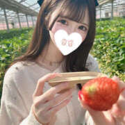 ヒメ日記 2025/10/17 06:13 投稿 ここみ 完全自由交際！出会い廚カノジョと好き放題！