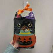 ヒメ日記 2025/11/01 21:39 投稿 あるる 上野　御徒町オトナのハンドメイド