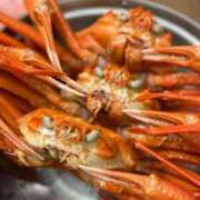 ヒメ日記 2025/12/02 23:05 投稿 あるる 上野　御徒町オトナのハンドメイド