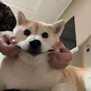 ヒメ日記 2026/01/04 15:54 投稿 あるる 上野　御徒町オトナのハンドメイド