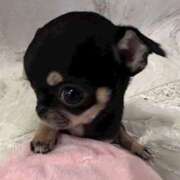 ここ 退勤?.*ﾟ⊂(  ᴖ ̫ᴖ)⊃ ⊂(ᴖ ̫ᴖ  )⊃*:★.｡ 上野　御徒町オトナのハンドメイド