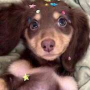 ヒメ日記 2026/01/05 23:15 投稿 ここ 上野　御徒町オトナのハンドメイド