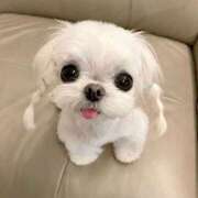 ヒメ日記 2026/01/18 23:27 投稿 ここ 上野　御徒町オトナのハンドメイド