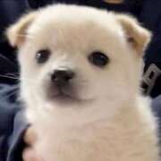 ヒメ日記 2026/02/04 20:01 投稿 ここ 上野　御徒町オトナのハンドメイド