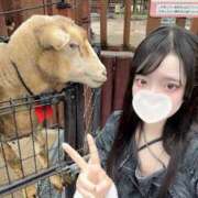 ここ ごめんなさい?? 上野　御徒町オトナのハンドメイド