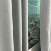 ヒメ日記 2025/12/12 12:36 投稿 るるか 上野　御徒町オトナのハンドメイド