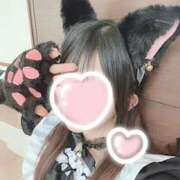 あまねこ ありがと‪? 上野　御徒町オトナのハンドメイド