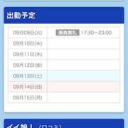 あまねこ ありがとー?⸝꙳ 上野　御徒町オトナのハンドメイド