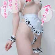 ヒメ日記 2025/08/29 11:01 投稿 なの MONTE(モンテ)