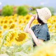 ヒメ日記 2025/09/27 20:40 投稿 悠木まみ -NEO-皇帝別館（中央街）