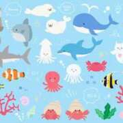 ヒメ日記 2025/09/05 16:54 投稿 ちな 上野　御徒町オトナのハンドメイド