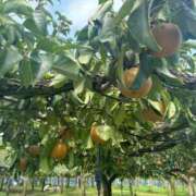 ヒメ日記 2025/09/21 16:45 投稿 清宮いろは 神戸ホットポイント