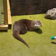 ヒメ日記 2025/10/06 02:19 投稿 みるく べっぴんコレクション