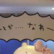 ヒメ日記 2025/11/16 18:49 投稿 平野れの 神戸ホットポイント