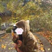 舞（まい） イルミネーション Bijou R