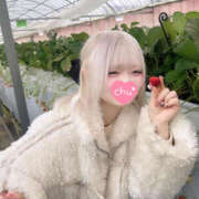 ヒメ日記 2025/09/11 06:24 投稿 ななみ 強制無制限のヤ〇放題の出し放題