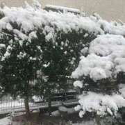 ヒメ日記 2026/02/10 14:09 投稿 亜希(あき) 女々艶 大和店