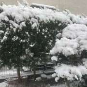 ヒメ日記 2026/02/10 14:10 投稿 亜希(あき) 女々艶 大和店