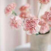 ヒメ日記 2026/03/06 21:30 投稿 かりん CECIL