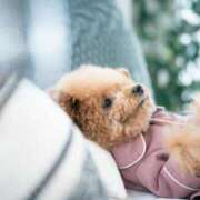 ヒメ日記 2026/02/19 09:31 投稿 みき未経験 マダム可憐