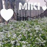 ヒメ日記 2026/03/28 21:06 投稿 みき未経験 マダム可憐