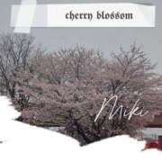 ヒメ日記 2026/04/01 20:48 投稿 みき未経験 マダム可憐