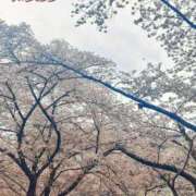 ヒメ日記 2026/04/04 15:47 投稿 みき未経験 マダム可憐