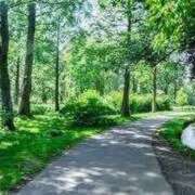 ヒメ日記 2026/02/16 07:45 投稿 みなみ 熟女の風俗最終章 錦糸町店