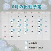 ちはる 6月の予定！ お客様満足度NO.1デリヘル！ 秘密倶楽部 凛 千葉