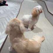 ヒメ日記 2025/10/13 19:34 投稿 浜辺ゆり デリス新宿