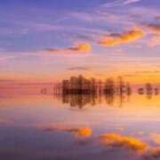 ヒメ日記 2025/09/12 14:51 投稿 星羽【セイハ】 Evolution1st キタ兎我野店