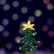 ヒメ日記 2025/12/24 13:28 投稿 星羽【セイハ】 Evolution1st キタ兎我野店