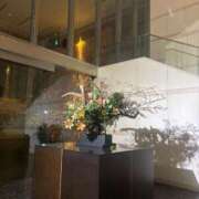 ヒメ日記 2026/01/08 15:41 投稿 星羽【セイハ】 Evolution1st キタ兎我野店