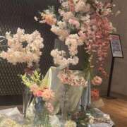 星羽【セイハ】 出勤します〜！ Evolution1st キタ兎我野店