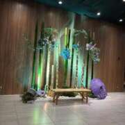 ヒメ日記 2026/09/23 07:11 投稿 星羽【セイハ】 Evolution1st キタ兎我野店