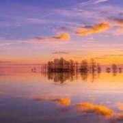 ヒメ日記 2025/08/19 23:31 投稿 星羽【セイハ】 Evolution1st ミナミ谷九店