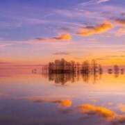 星羽【セイハ】 予定まとめ📓 Evolution1st ミナミ谷九店