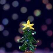 ヒメ日記 2025/12/24 13:28 投稿 星羽【セイハ】 Evolution1st ミナミ谷九店