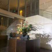 ヒメ日記 2025/12/31 19:51 投稿 星羽【セイハ】 Evolution1st ミナミ谷九店