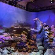 星羽【セイハ】 予定│‬՞. ̫ .՞)…… Evolution1st ミナミ谷九店