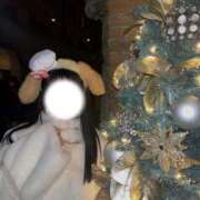 鈴森 恋花 もうクリスマスが愉しみ. テレジア東京