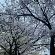 ヒメ日記 2026/04/05 19:07 投稿 みくる スピードエコ天王寺店