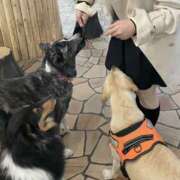 ヒメ日記 2026/04/09 22:20 投稿 みくる スピードエコ天王寺店