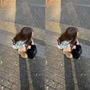 ヒメ日記 2025/08/26 17:05 投稿 ねこ PINK PLANET